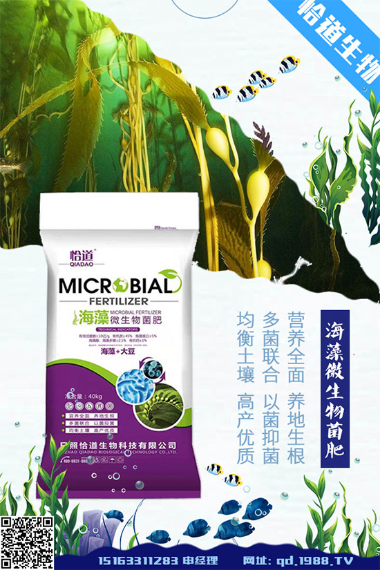 花生什么時間種植？花生高產(chǎn)種植方法！