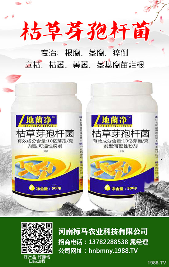 苦瓜怎么施肥,苦瓜施肥要點有哪些?