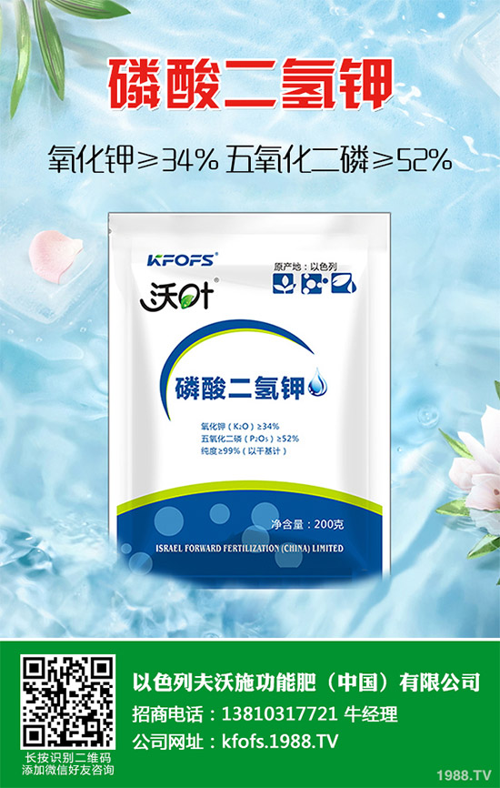 ��(f��)�Ϸʃr��