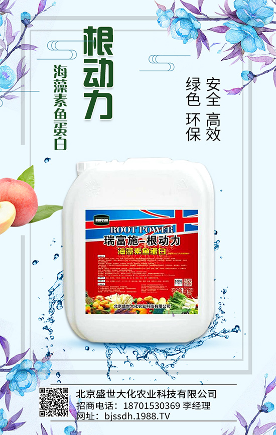 �J�S��ʲô�I(y��ng)�B(y��ng)�r(ji��)ֵ�����J�S����Щ��̎��