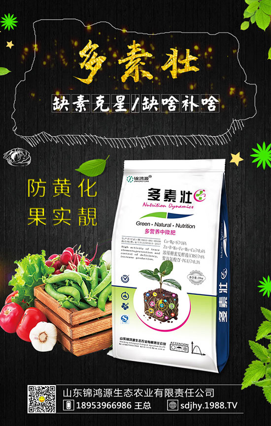 ���������緽������Щ������������Ҫ�c�����ڹ�����