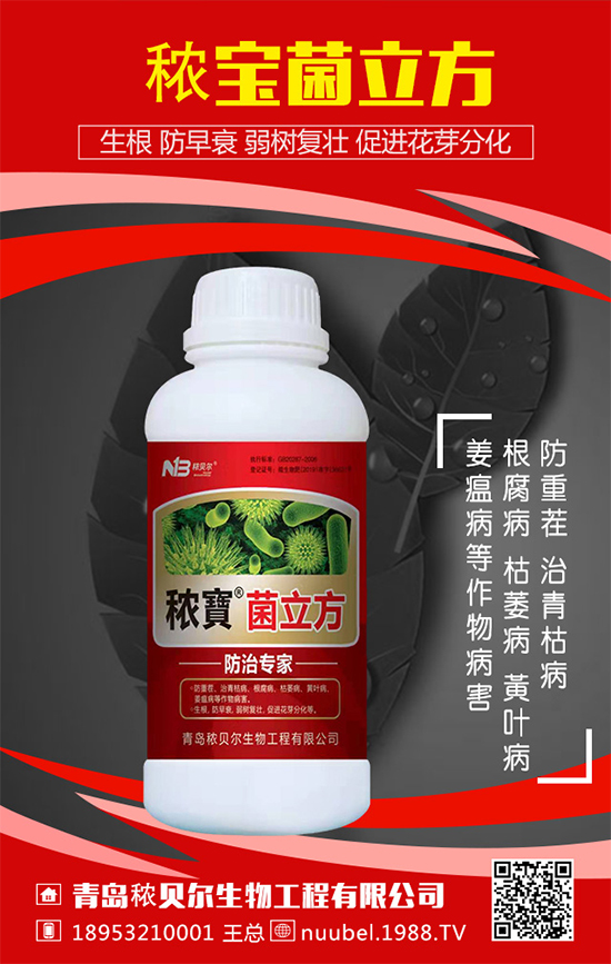 ���J��ô���N���������J�Ĳ��N���������L�^�̣�