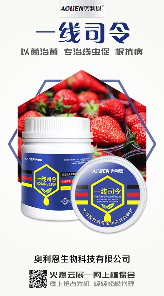 香瓜育苗期的水肥管理，香瓜施肥的注意事項(xiàng)！