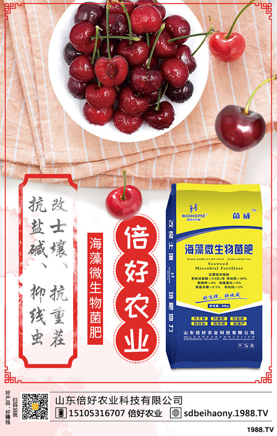     �޻������L���ڶ��������޻����L�����r�ڵı��F(xi��n)����Щ��