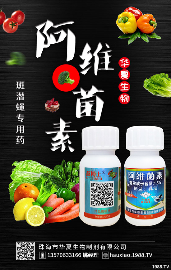 ���x���r��