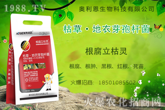 ����ù���r(n��ng)ˎ�r��S�̈�(b��o)�r