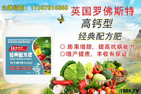     6�����ؿ��ܕ�(hu��)��q��2020��6��2�ո��؅^(q��)�����������S��(b��o)�r(ji��)