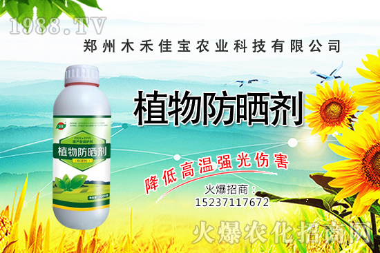 ѿ��˷Nֲǰ����ô����ѿ��˷Nֲ���g(sh��)����Щ��