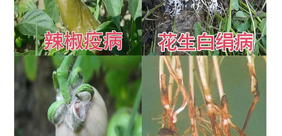 �����v�S�r(n��ng)�I(y��)�Ƽ����޹�˾2_11