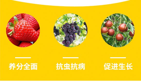 �����v�S�r(n��ng)�I(y��)�Ƽ����޹�˾2_08