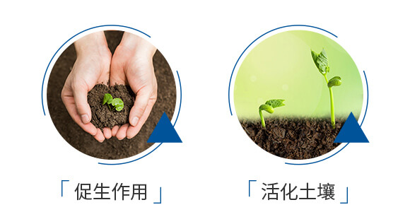 ΢�������-�����m��-����_06