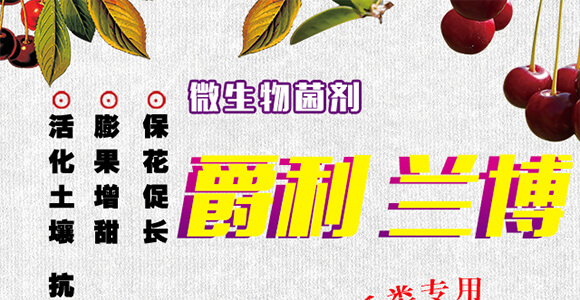 ΢�������-�����m��-����_01