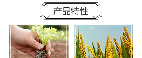 量子光肽炭基酶-果仕奇-國豐健園_04