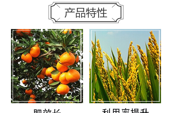 復混肥料（純硫基）20-5-23-歌利洋_05
