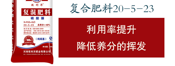 復混肥料（純硫基）20-5-23-歌利洋_04