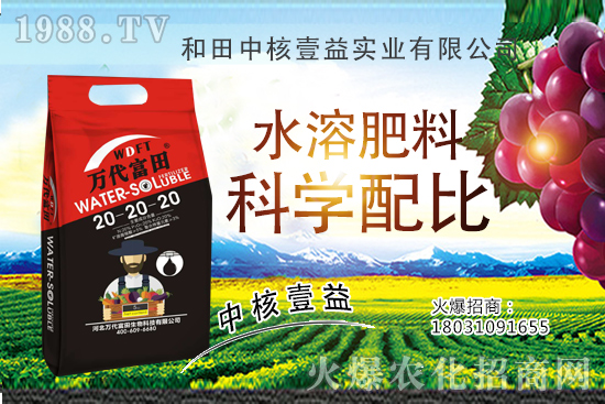 四季海棠多久澆一次水?四季海棠澆水過多怎么挽救?