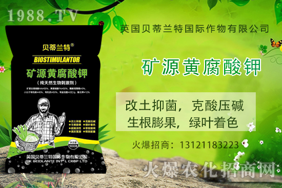 ���ÿ���ô�B(y��ng)�����ÿ��B(y��ng)ֳ������ע�����(xi��ng)��