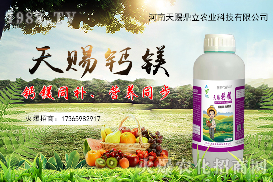 ���n������ʲô��(y��u)�������n�������Ʈa(ch��n)Ʒ����Щ��