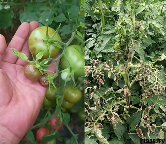 ����������ΰl(f��)���ģ��Л]�кõķ��δ�ʩ�������@�ׂ�����߀�о���