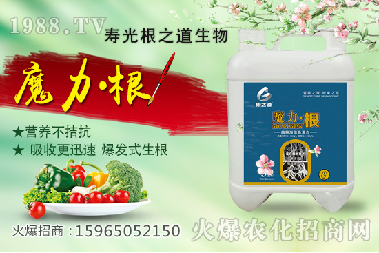 桃樹施肥有什么講究？桃樹施肥時間，如何做到科學施肥？