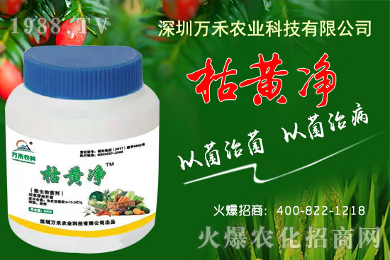 枯黃凈能防治哪些病害？枯黃凈適用作物及使用方法！