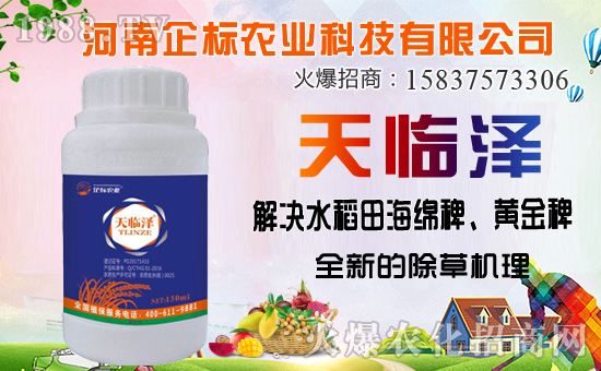 ���ݰ����ݙC(j��)�������ݰ��ܷ�����Щ����ʹ��ע�����(xi��ng)����Щ��