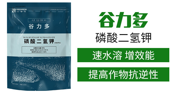 ��������-������-��٤�z_03