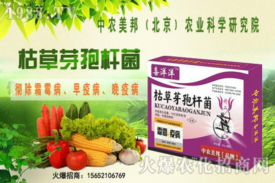 �ݲ�ѿ�ߗU���θ������ᣬ������Щ�������������Ό�(du��)������Щ��