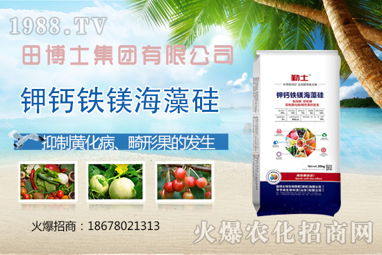 Խ�ķ��ѻ��ι����a(ch��n)���ϲ�ȥ�����η��ѻ��ι����@ЩҪ�I(l��ng)�����գ�