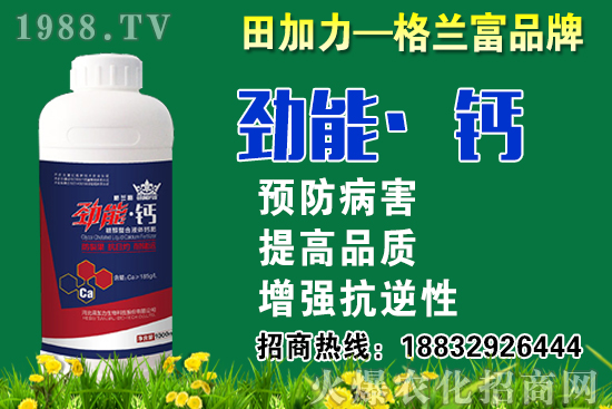 2020���}��ʲô�r��N�����}���NֲҪע����Щ���}��