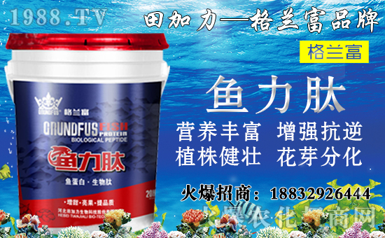 ���䌦�B(y��ng)���������c����Щ������ʩ���`�^(q��)�����_ʩ�ʷ�����