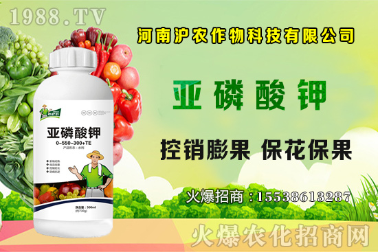 ���[����Ҫ�c(di��n)��֪���������[��Ҋ���x������Щ����η��Σ�