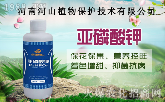 С�����߼Ӵa�������u�Z��2020��8��14��С���r(ji��)�����飡