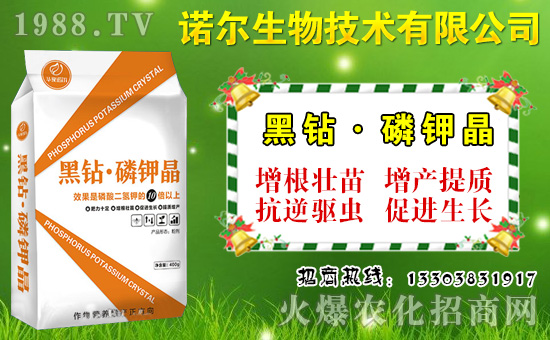 大棚菜豆如何施肥？菜豆需肥特點(diǎn)與施肥技術(shù)！