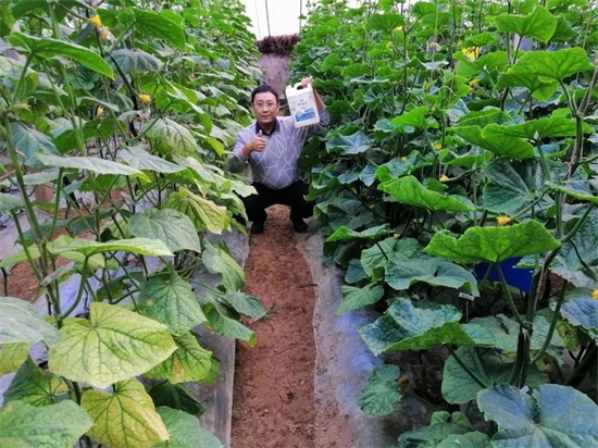 �͜ؾ����~���׷�