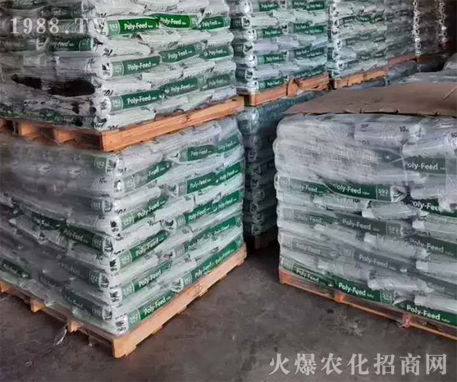 ���̼���