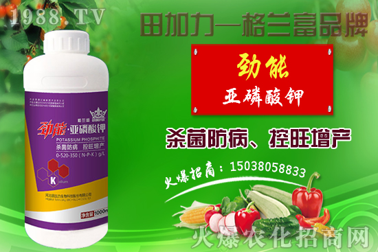 �޻������������ʩ�ʣ��޻�������Լ�ʩ��ԭ�t��