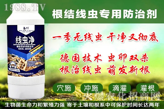 �������״���ʲô�������������״���������x��