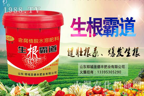 ������(sh��)�Nֲ����(ji��)��ʲô�r(sh��)����������(sh��)�Nֲ��������Щ��