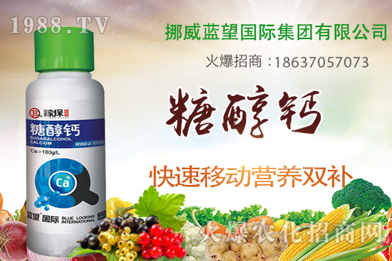 柑橘壯果肥如何施，柑橘壯果期施肥與管理！