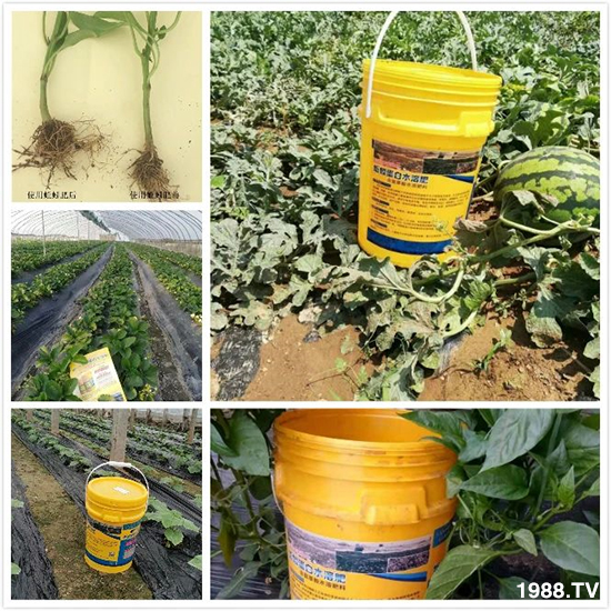 水溶肥市場(chǎng)大變革?海藻精、魚蛋白將被它代替!1000多用戶鼎力推薦!