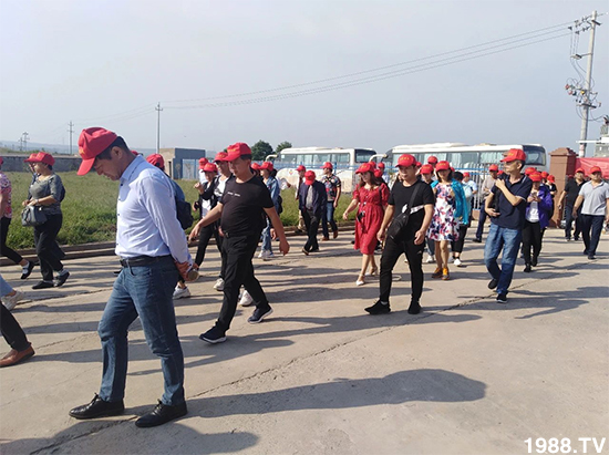 水溶肥市場(chǎng)大變革!?海藻精、魚蛋白將被它代替!1000多用戶鼎力推薦!