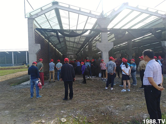 水溶肥市場(chǎng)大變革?海藻精、魚蛋白將被它代替!1000多用戶鼎力推薦!