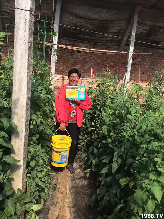 水溶肥市場(chǎng)大變革!?海藻精、魚蛋白將被它代替!1000多用戶鼎力推薦!