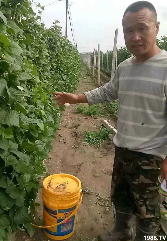 水溶肥市場(chǎng)大變革?海藻精、魚蛋白將被它代替!1000多用戶鼎力推薦!