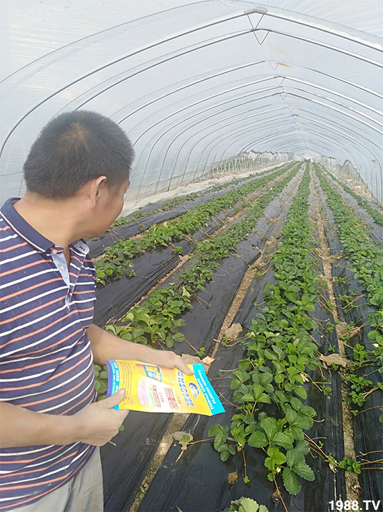 水溶肥市場(chǎng)大變革!?海藻精、魚蛋白將被它代替!1000多用戶鼎力推薦!