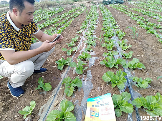 水溶肥市場(chǎng)大變革。亢T寰、魚蛋白將被它代替!1000多用戶鼎力推薦!