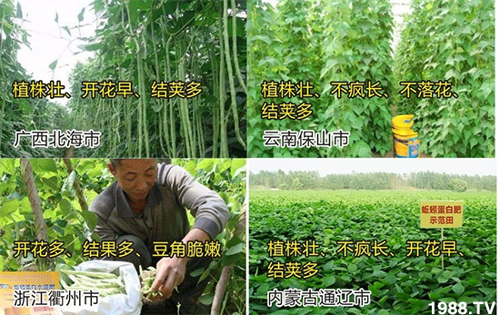 水溶肥市場(chǎng)大變革?海藻精、魚蛋白將被它代替!1000多用戶鼎力推薦!