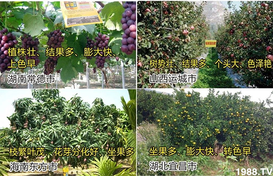 水溶肥市場(chǎng)大變革。亢T寰、魚蛋白將被它代替!1000多用戶鼎力推薦!