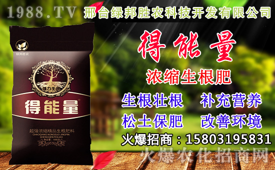 2020��С���N������x���߮a(ch��n)С��Ʒ�N����Щ��